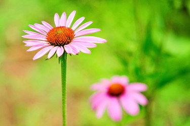 Similar image 1382987