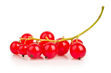 Similar image 1382992