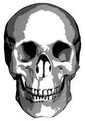 Similar image 1383086