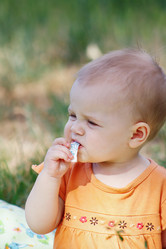 Similar image 1383149