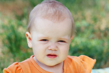 Similar image 1383154