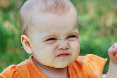 Similar image 1383155