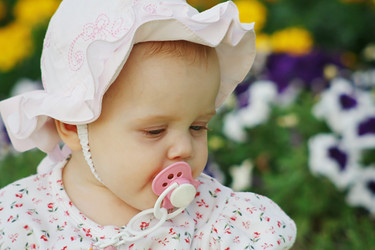 Similar image 1383160