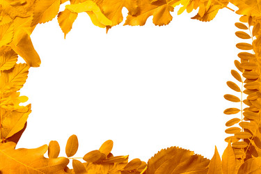 Similar image 1383185