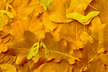 Similar image 1383186