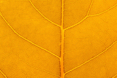 Similar image 1383187