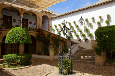 Similar image 1383223