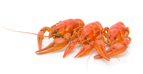 Similar image 1383275