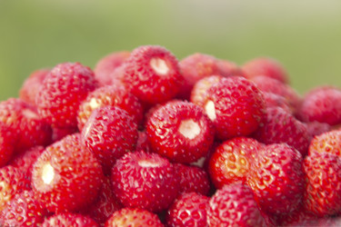 Similar image 1383669