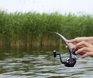 Similar image 1383706