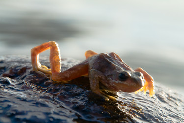 Similar image 1383713