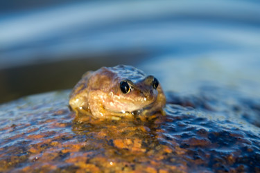 Similar image 1383715