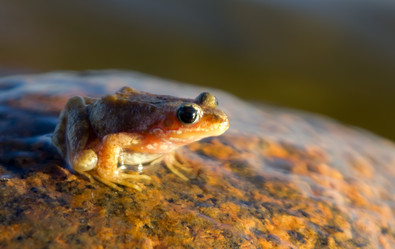 Similar image 1383718