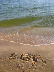 Similar image 1383722