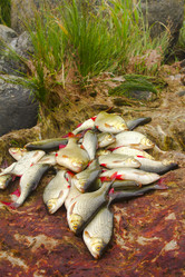 Similar image 1383737