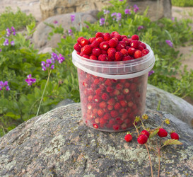 Similar image 1383746