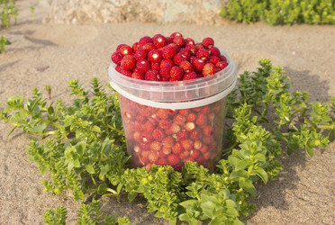 Similar image 1383747