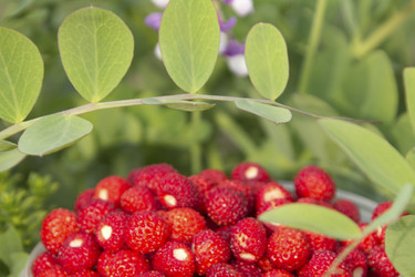 Similar image 1383749