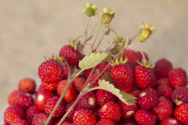 Similar image 1383750