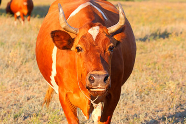 Similar image 1383790