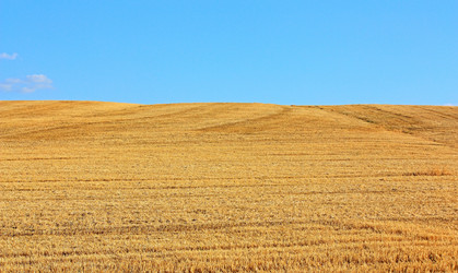 Similar image 1383791