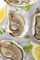 Similar image 1383909