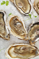 Similar image 1383910