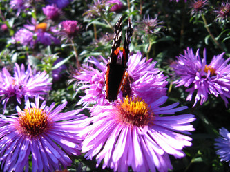 Similar image 1383960