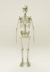 Similar image 1383969