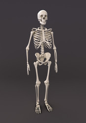 Similar image 1383999