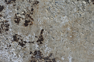 Similar image 1384154