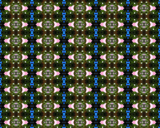 Similar image 1384182