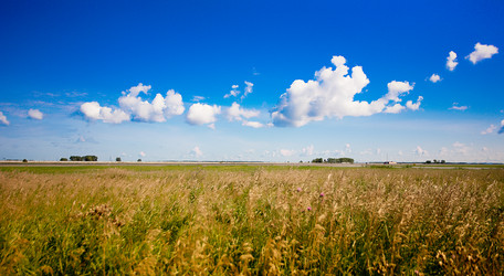 Similar image 1384264