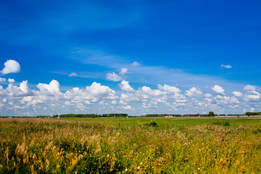 Similar image 1384278