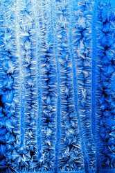 Similar image 1384332