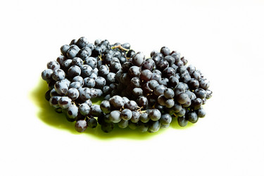 Similar image 1384376