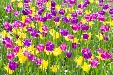 Similar image 1384905