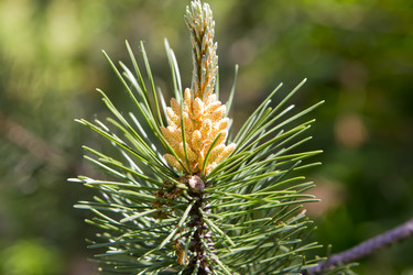 Similar image 1384909