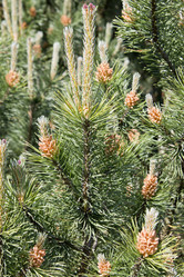 Similar image 1384910