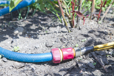 Similar image 1384911