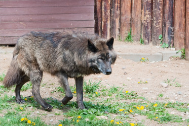 Similar image 1385314