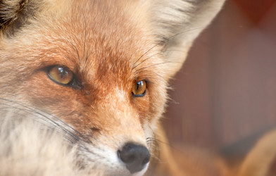 Similar image 1385315