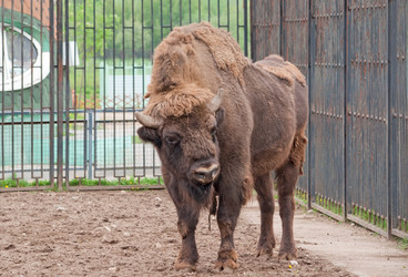 Similar image 1385316