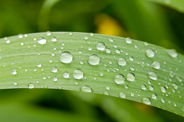 Similar image 1385348