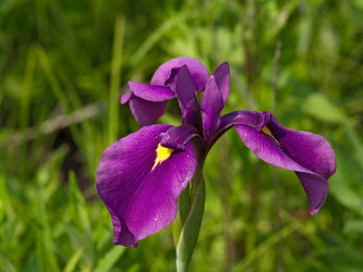 Similar image 1385382