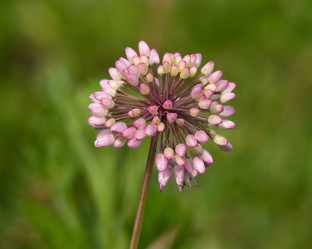 Similar image 1385394