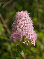 Similar image 1385395