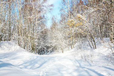 Similar image 1385411