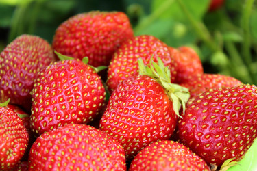 Similar image 1385521