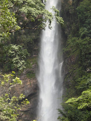 Similar image 1385524